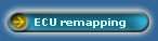 ECU remapping