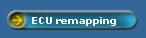 ECU remapping